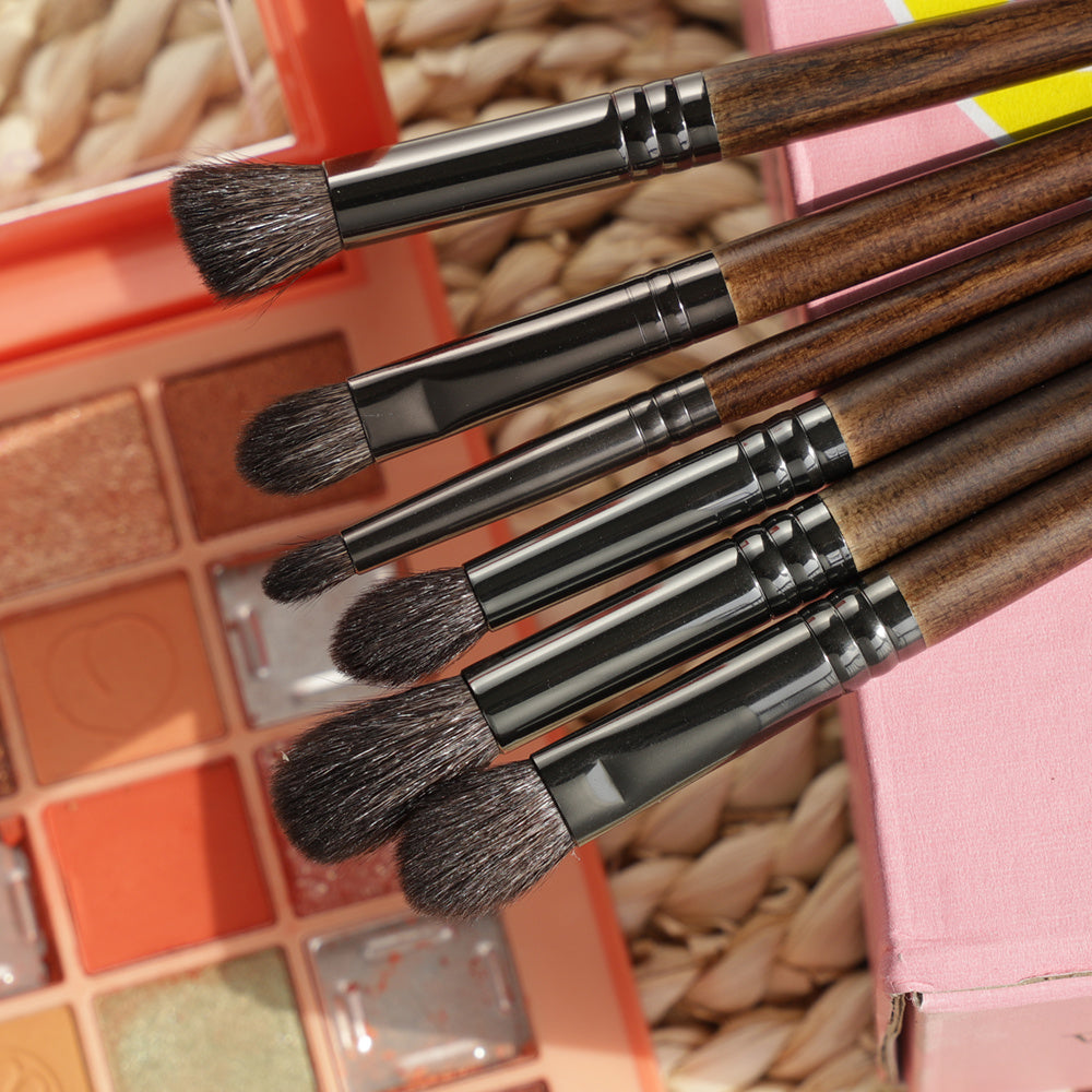 Set pinceau beauté