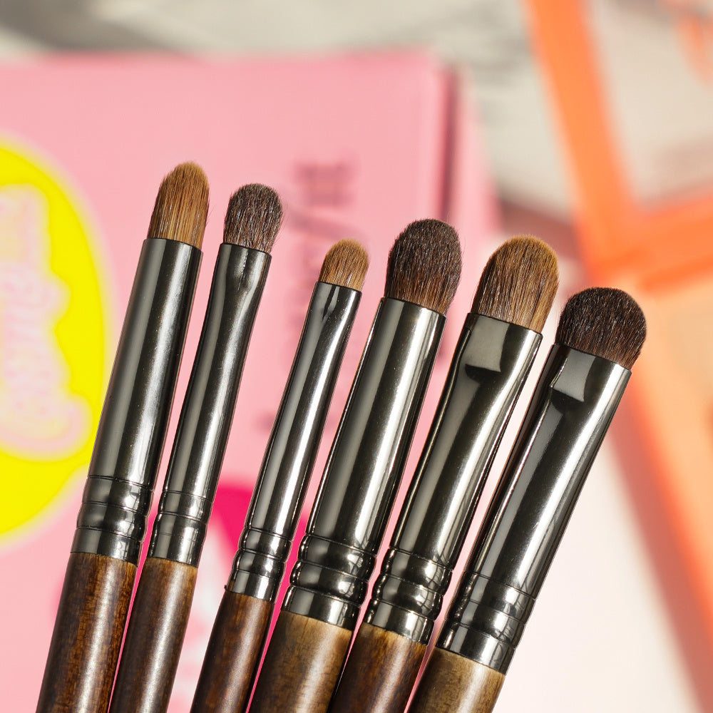 Set pinceau beauté