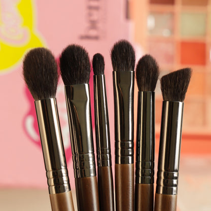 Set pinceau beauté